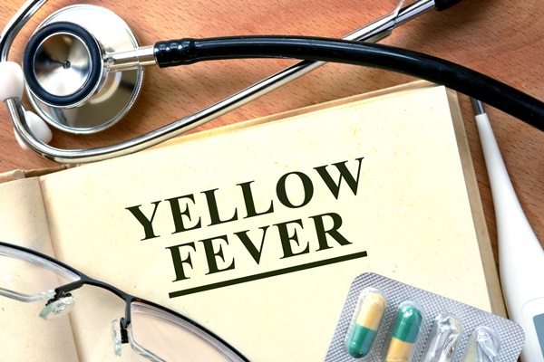 yellow-fever