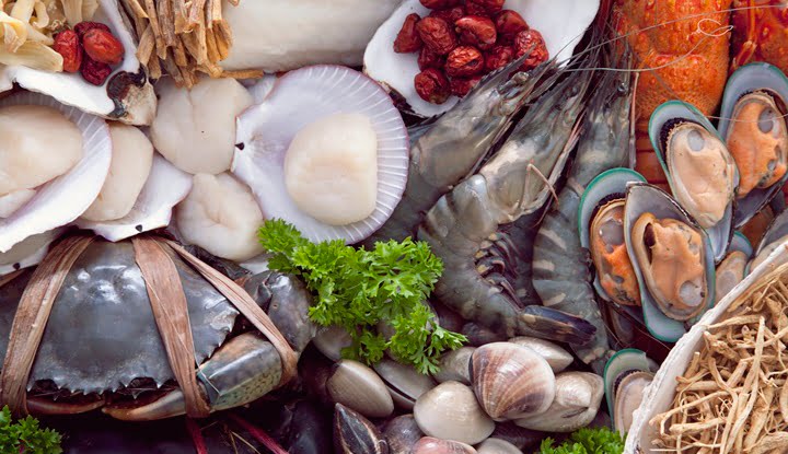 Fresh raw sea food and herbs