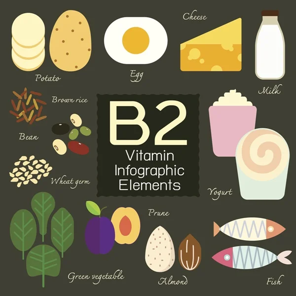 Vitamin B2 infographic element.
