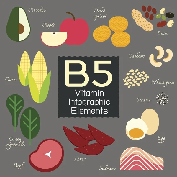 Vitamin B5 infographic element.
