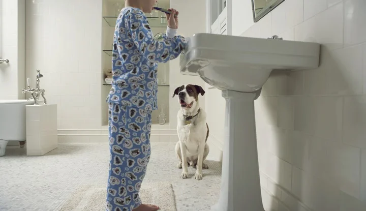 Dog watching boy (6-8) brushing teeth in bathroom