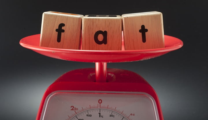 understand-the-fat-that-does-not-make-us-fat