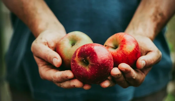 7-good-fruits-that-people-working-age-should-eat-6
