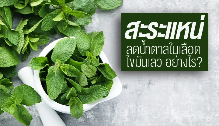 peppermint-with-properties-help-reduce-blood-sugar-and-bad-fat