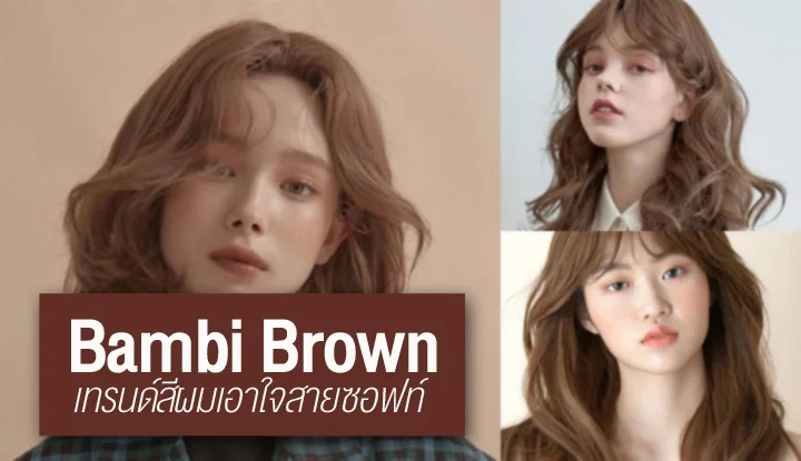 bambi-brown-hair-color-pr